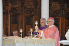XI_anniversario_Mons._Fragnelli-1060