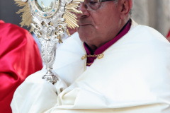 ALCAMO-8781