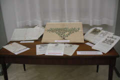TAVOLO-GENEALOGIE