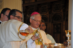 Dedicazione_Cattedrale_Ordinazione_Diaconale_24_Ottobre_2015-1093