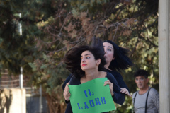 DSC_0264