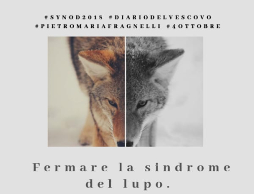 SINODO E VOLTI – 3