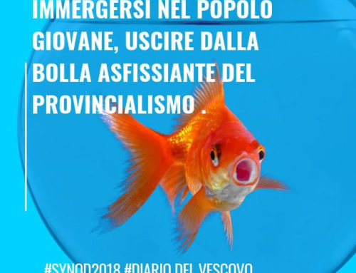 SINODO E VOLTI – 6