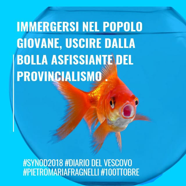 diariodelvescovo_6-img-20181010-wa0043.jpg
